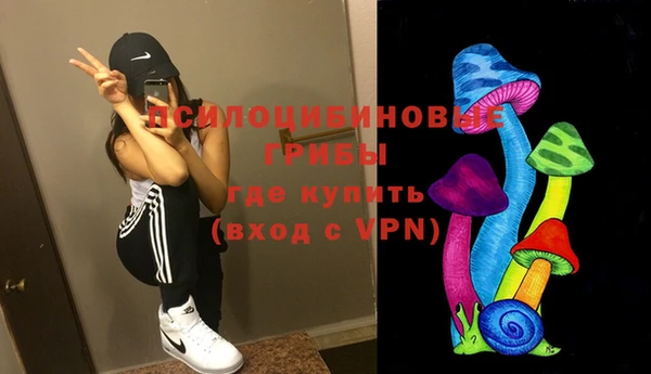 ешки Вязники